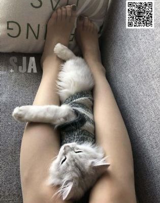 风月无边电视剧_蓝光影视在线观看