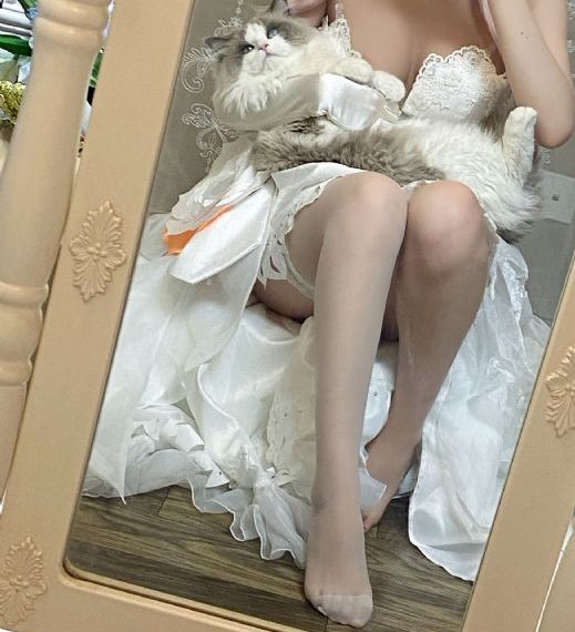 电脑危情_BD英语高清在线观看