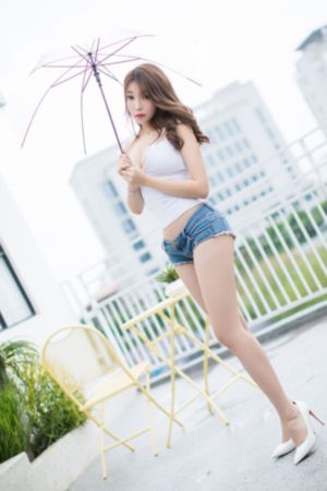 巡回检察组全集完整免费播放_HD动漫在线观看