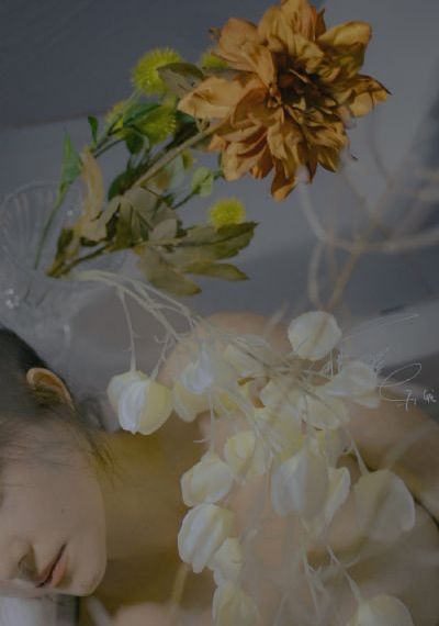 电视剧密使免费观看_免费高清在线观看